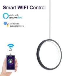 Minimalistisk Ring Pendellampa Dekorativ Taklampa