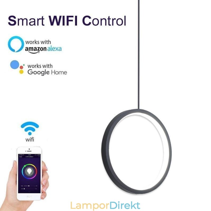 Minimalistisk Ring Pendellampa Dekorativ Taklampa