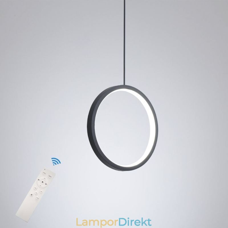 Minimalistisk Ring Pendellampa Dekorativ Taklampa