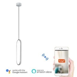 Oval Taklampa Dekorativ Ljusarmatur I Akryl