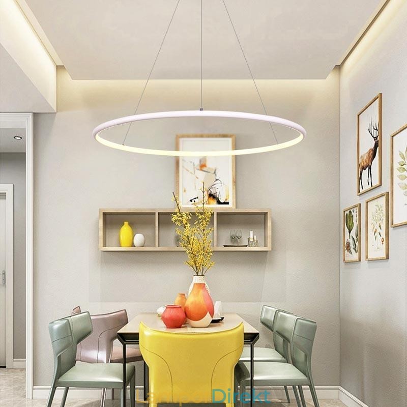 Modern Pendelljus Cirkel Lampa 60Cm 80Cm