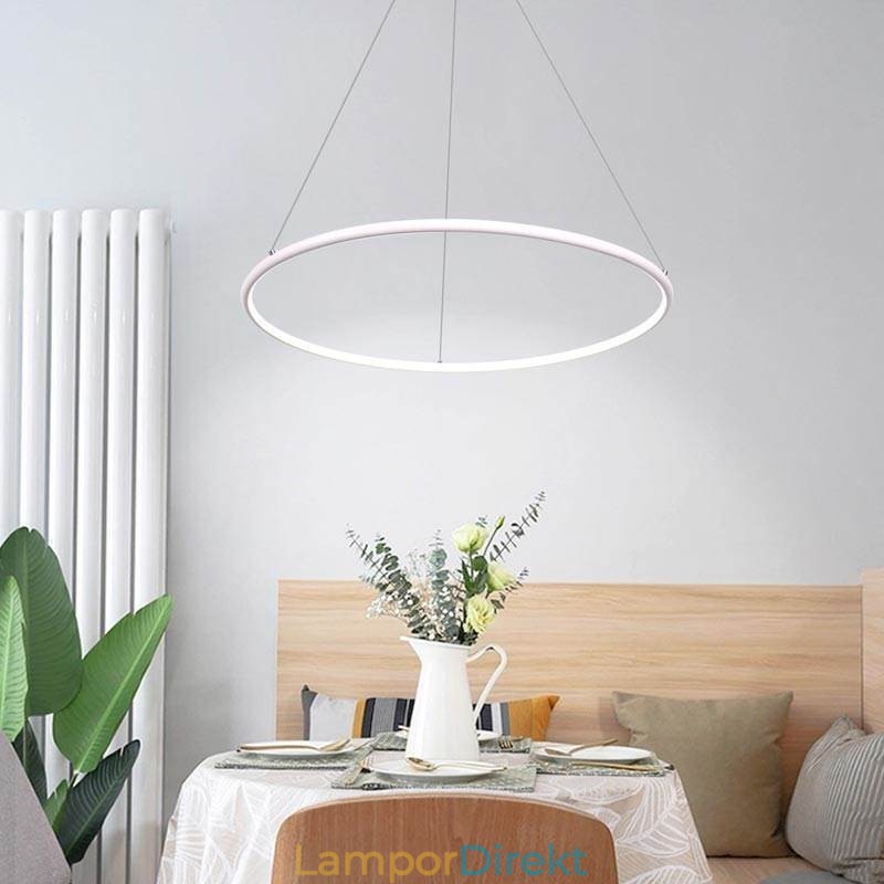 Modern Pendelljus Cirkel Lampa 60Cm 80Cm