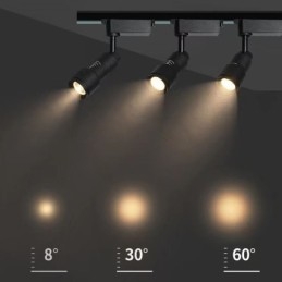 Spår Spotlight Gratis Fokusering Accentbelysning