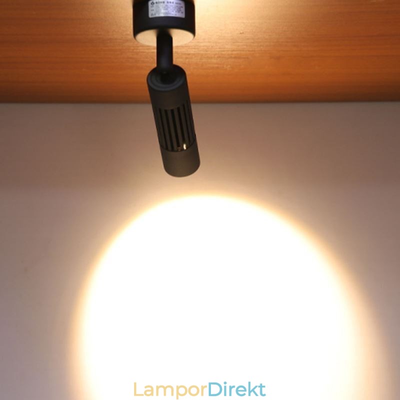Roterbar Cob Spotlight Svart Takspotlight (Enkel Ljus)
