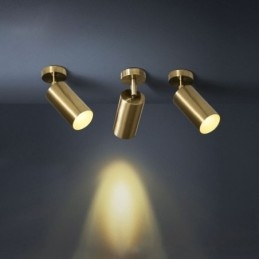 Modern Enkel Spotlight Aluminium Takskenljus