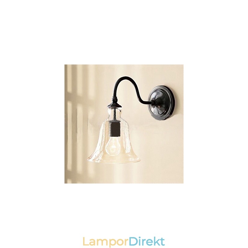 Naturinspirerad Vägglampa I Järn Med Transparent Glasskärm