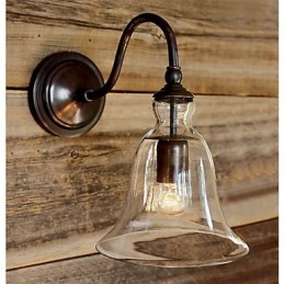Naturinspirerad Vägglampa I Järn Med Transparent Glasskärm