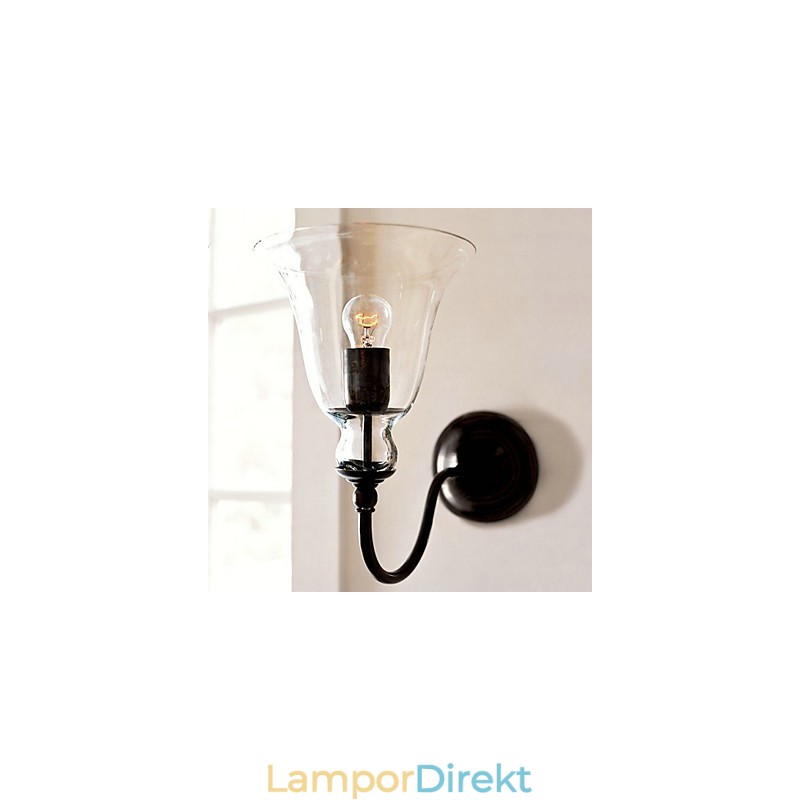 Naturinspirerad Vägglampa I Järn Med Transparent Glasskärm