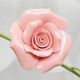 Alla Hjärtans Dag Rose Garden Blommor Och Växter Absorberar Kupolljus