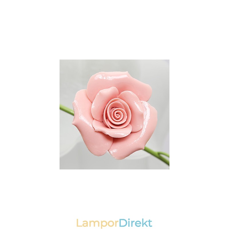 Alla Hjärtans Dag Rose Garden Blommor Och Växter Absorberar Kupolljus
