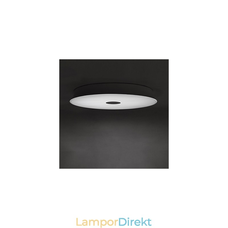 Flush Mount Modern Contemporary Metal