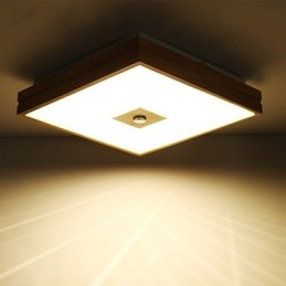 Modern Samtida Mini Style Målning Trä Bambu Flush Mount