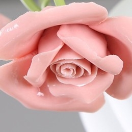 Alla Hjärtans Dag Rose Garden Blommor Och Växter Absorberar Kupolljus