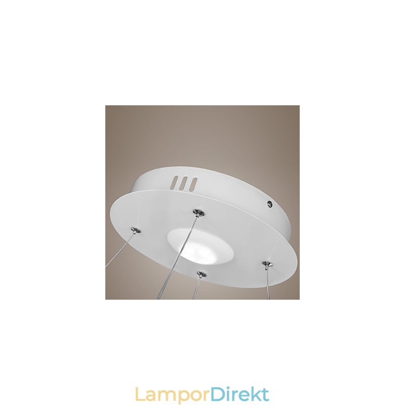 Modern Design Taklampa Högkvalitativ Akryl Single Ring Fit