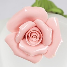 Alla Hjärtans Dag Trädgårdsblommor Och Växter Absorberar Kupolljus