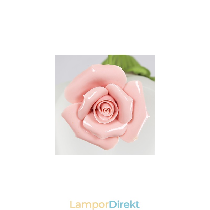 Alla Hjärtans Dag Trädgårdsblommor Och Växter Absorberar Kupolljus
