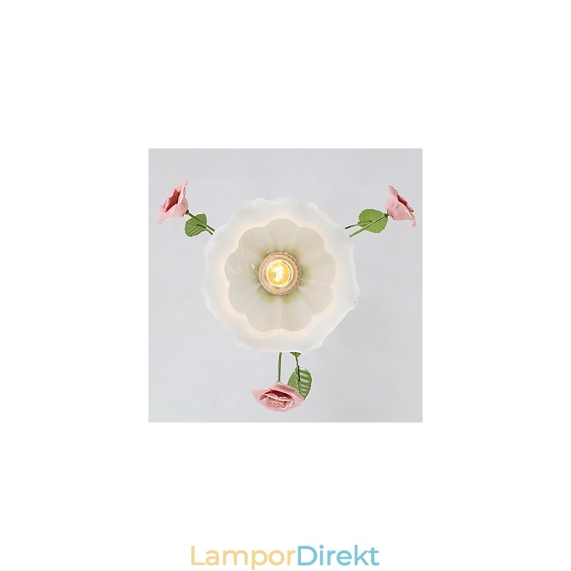 Alla Hjärtans Dag Trädgårdsblommor Och Växter Absorberar Kupolljus