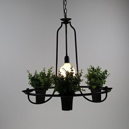Medelhavet Trädgård Blommor Ljus