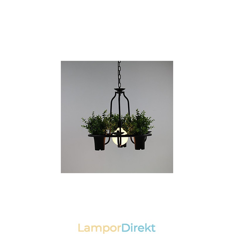 Medelhavet Trädgård Blommor Ljus