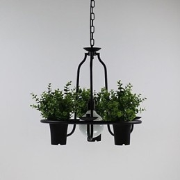 Medelhavet Trädgård Blommor Ljus
