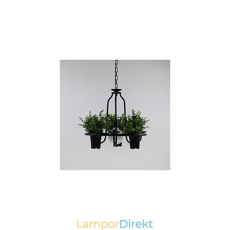 Medelhavet Trädgård Blommor Ljus