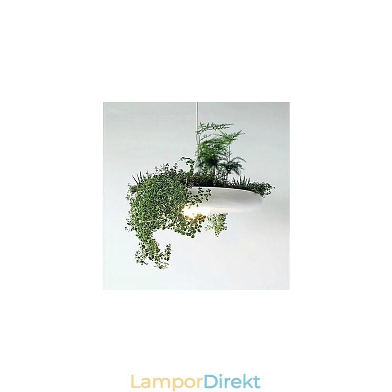 Modern Contemporary Others Metal Pendellampa