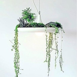Modern Contemporary Others Metal Pendellampa