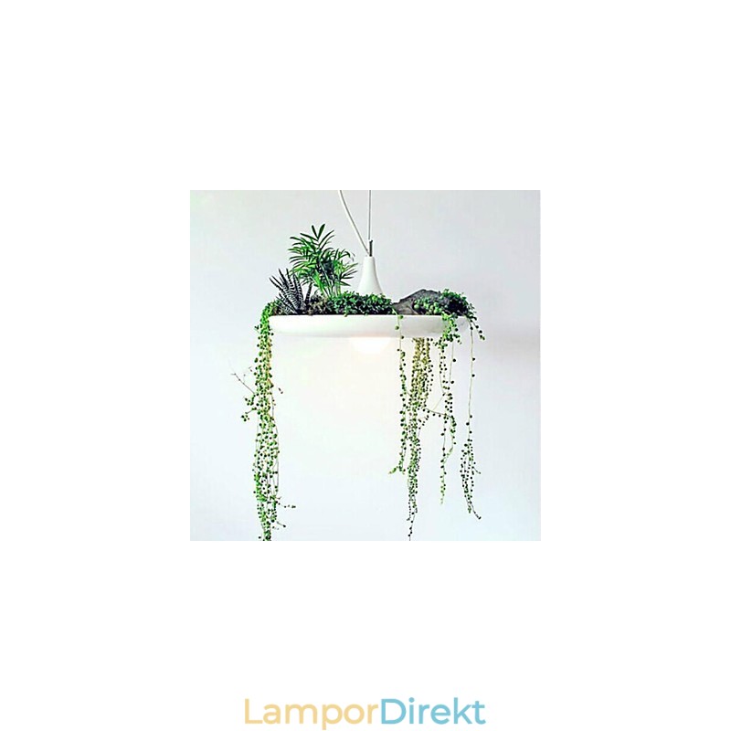 Modern Contemporary Others Metal Pendellampa