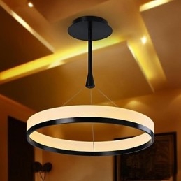 Modern Contemporary Others Metal Pendellampa