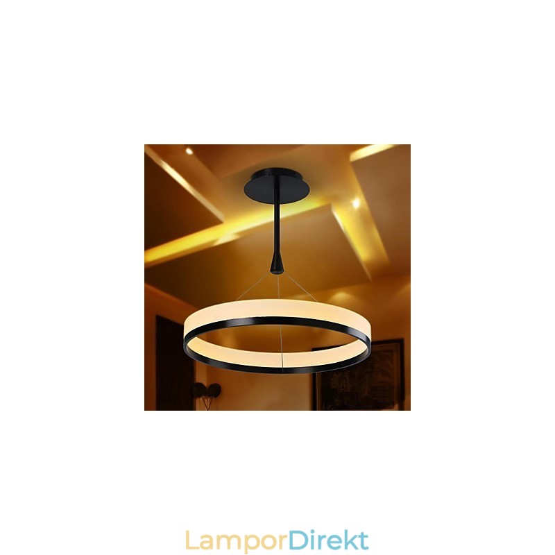 Modern Contemporary Others Metal Pendellampa