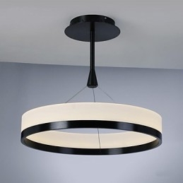 Modern Contemporary Others Metal Pendellampa