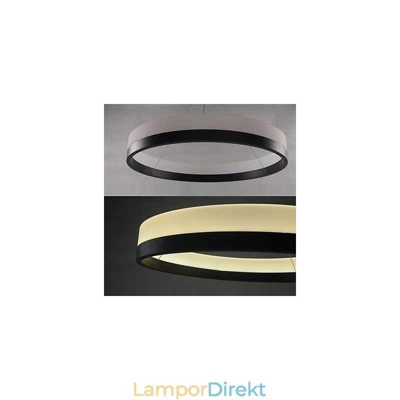 Modern Contemporary Others Metal Pendellampa