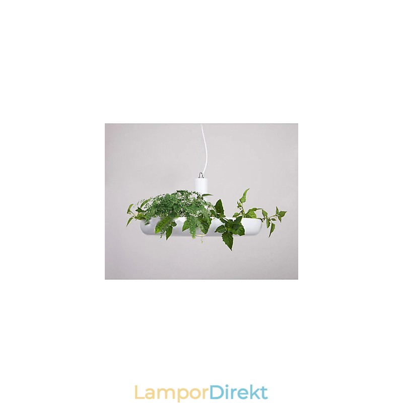 Ren Vit Modern Och Modern Dekorativ Design Taklampa Familj